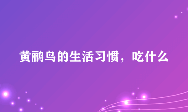 黄鹂鸟的生活习惯，吃什么