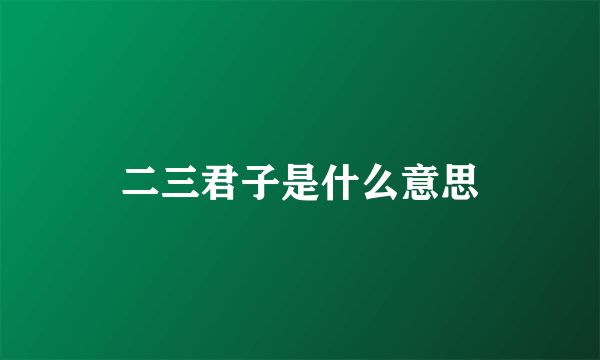 二三君子是什么意思