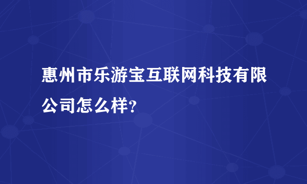 惠州市乐游宝互联网科技有限公司怎么样？