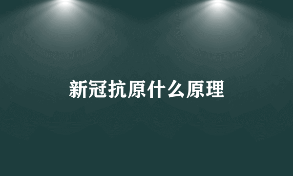 新冠抗原什么原理