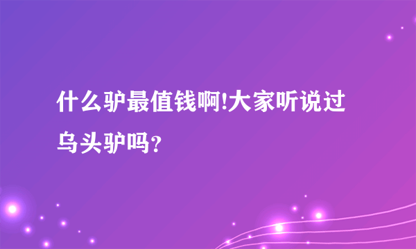 什么驴最值钱啊!大家听说过乌头驴吗？