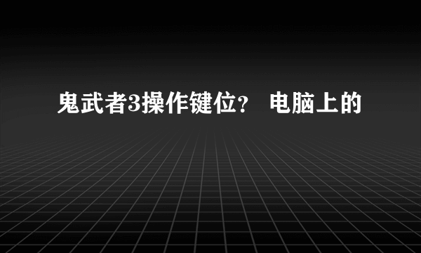 鬼武者3操作键位？ 电脑上的