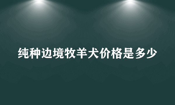 纯种边境牧羊犬价格是多少