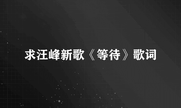 求汪峰新歌《等待》歌词