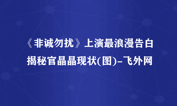 《非诚勿扰》上演最浪漫告白 揭秘官晶晶现状(图)-飞外网