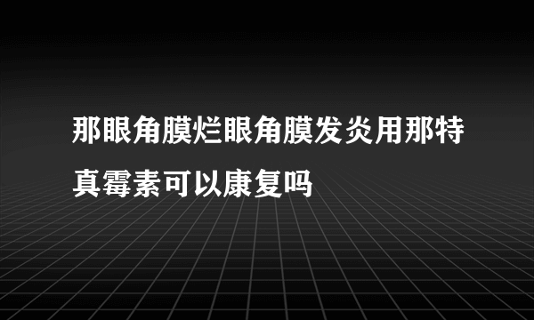 那眼角膜烂眼角膜发炎用那特真霉素可以康复吗