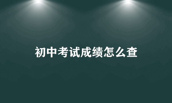 初中考试成绩怎么查