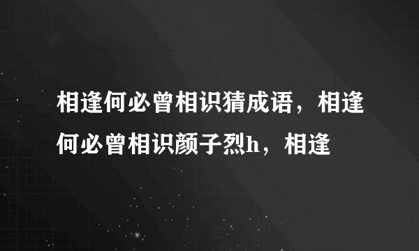 相逢何必曾相识猜成语，相逢何必曾相识颜子烈h，相逢