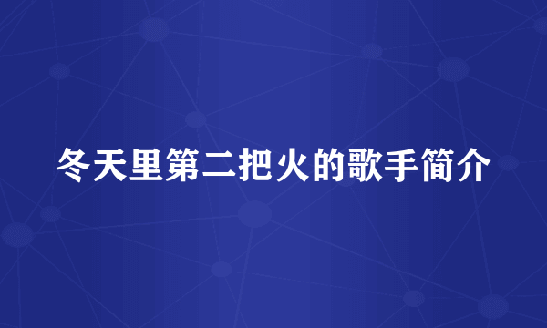 冬天里第二把火的歌手简介