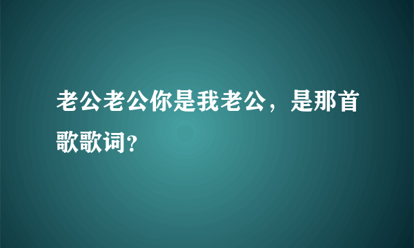 老公老公你是我老公，是那首歌歌词？