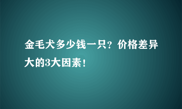 金毛犬多少钱一只？价格差异大的3大因素！