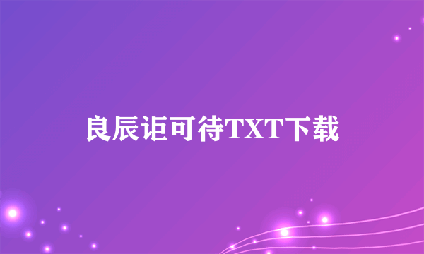 良辰讵可待TXT下载