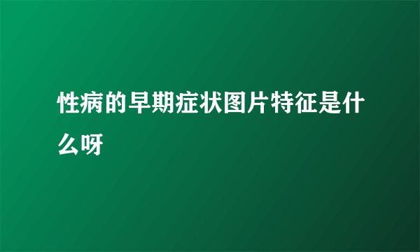 性病的早期症状图片特征是什么呀