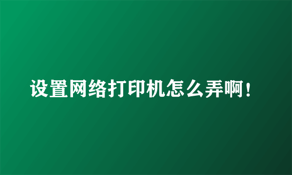 设置网络打印机怎么弄啊！