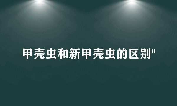 甲壳虫和新甲壳虫的区别