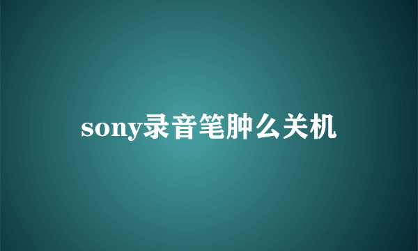 sony录音笔肿么关机