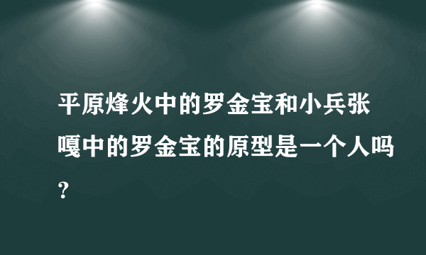 平原烽火中的罗金宝和小兵张嘎中的罗金宝的原型是一个人吗？