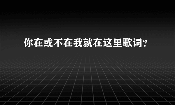 你在或不在我就在这里歌词？