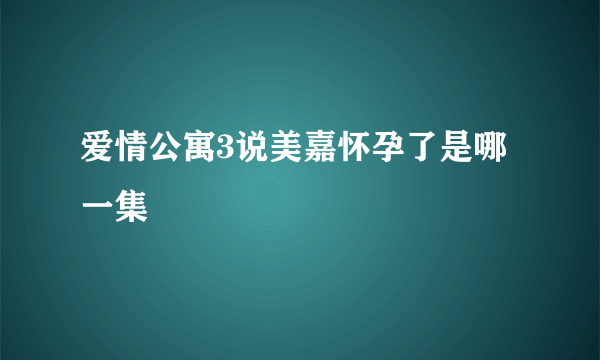 爱情公寓3说美嘉怀孕了是哪一集