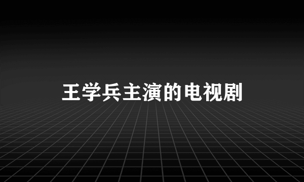 王学兵主演的电视剧