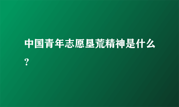 中国青年志愿垦荒精神是什么？