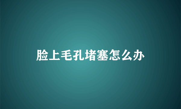 脸上毛孔堵塞怎么办