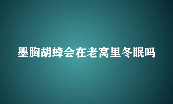 墨胸胡蜂会在老窝里冬眠吗