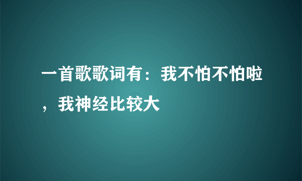 一首歌歌词有：我不怕不怕啦，我神经比较大