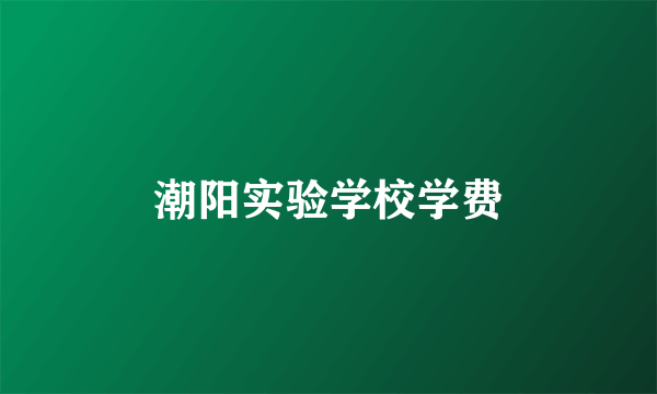 潮阳实验学校学费