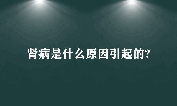 肾病是什么原因引起的?