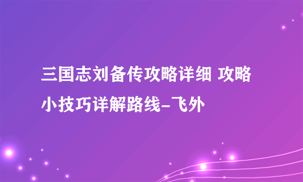 三国志刘备传攻略详细 攻略小技巧详解路线-飞外