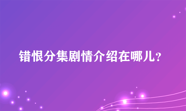 错恨分集剧情介绍在哪儿？