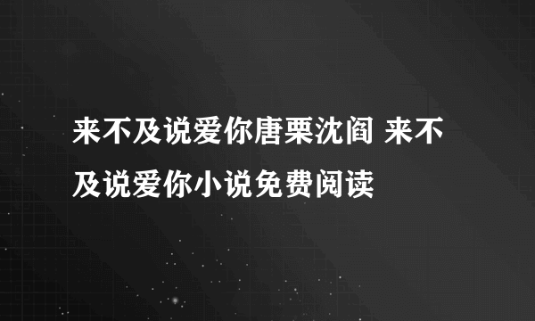 来不及说爱你唐栗沈阎 来不及说爱你小说免费阅读