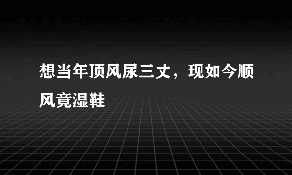 想当年顶风尿三丈，现如今顺风竟湿鞋