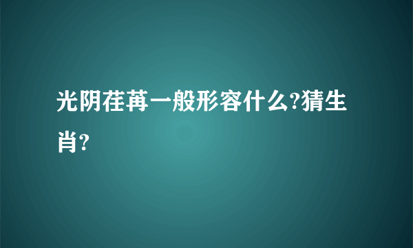 光阴荏苒一般形容什么?猜生肖?