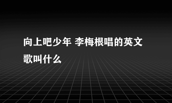 向上吧少年 李梅根唱的英文歌叫什么