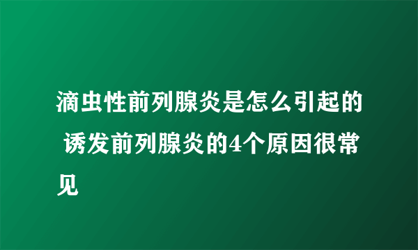 滴虫性前列腺炎是怎么引起的 诱发前列腺炎的4个原因很常见