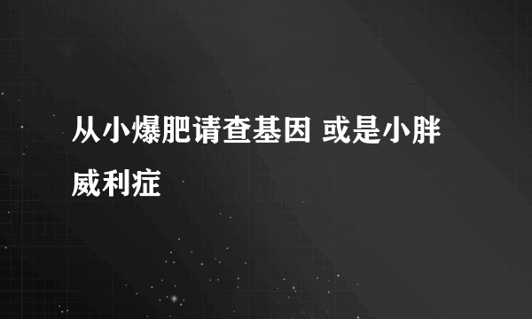 从小爆肥请查基因 或是小胖威利症