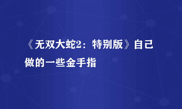 《无双大蛇2：特别版》自己做的一些金手指