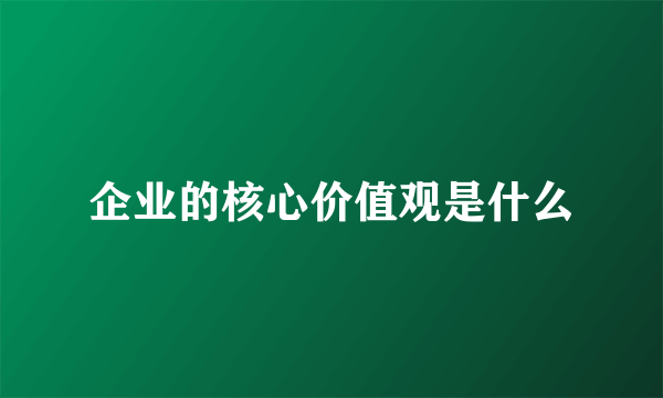 企业的核心价值观是什么