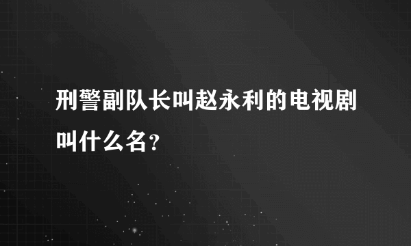 刑警副队长叫赵永利的电视剧叫什么名？