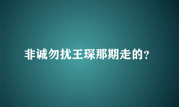 非诚勿扰王琛那期走的？