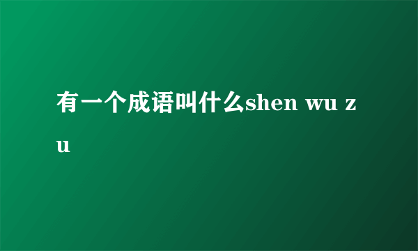 有一个成语叫什么shen wu zu