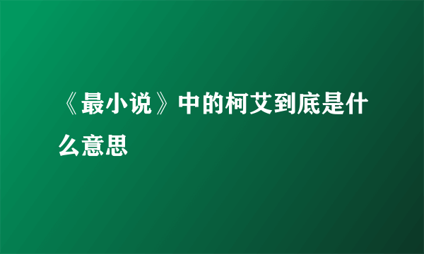 《最小说》中的柯艾到底是什么意思