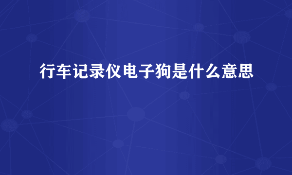 行车记录仪电子狗是什么意思