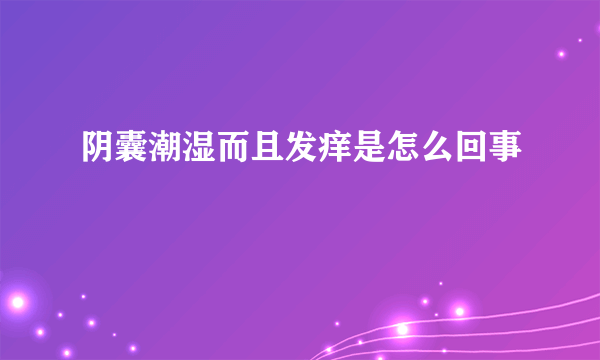 阴囊潮湿而且发痒是怎么回事