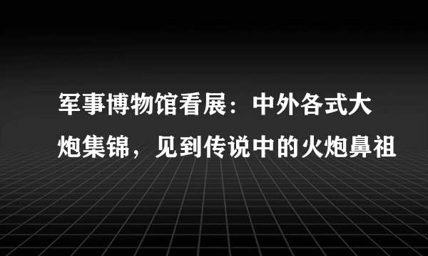 军事博物馆看展：中外各式大炮集锦，见到传说中的火炮鼻祖