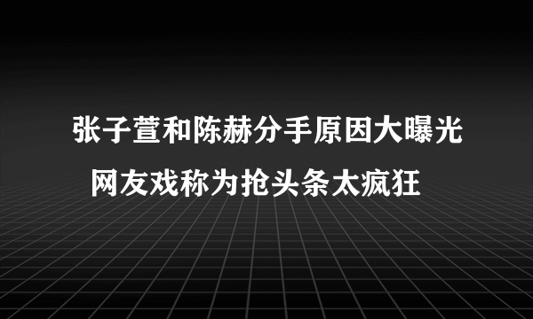 张子萱和陈赫分手原因大曝光  网友戏称为抢头条太疯狂