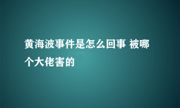 黄海波事件是怎么回事 被哪个大佬害的