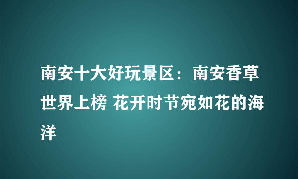 南安十大好玩景区：南安香草世界上榜 花开时节宛如花的海洋